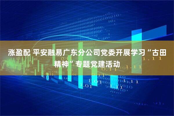 涨盈配 平安融易广东分公司党委开展学习“古田精神”专题党建活动