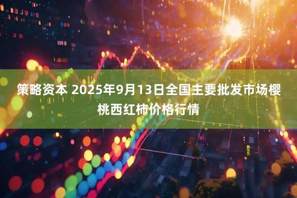 策略资本 2025年9月13日全国主要批发市场樱桃西红柿价格行情